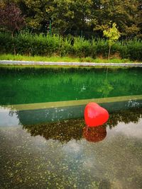 Red floating on water in lake