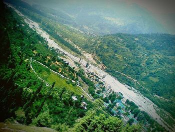 Scenic view of rice paddy