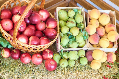 High angle view of apples in basket for sale