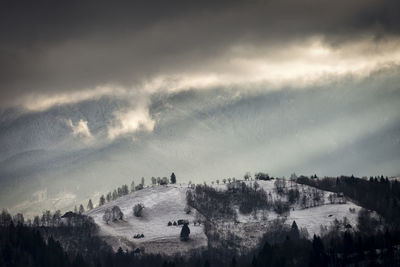 High angle view of trees and buildings against sky