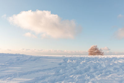 Scenic view of snow covered land against sky