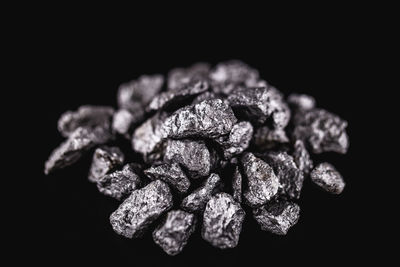 Close-up of dry flowers against black background