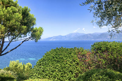 Scenic view of sea against clear blue sky