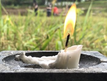 Close-up of burning tea against black background