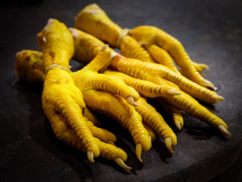 Close-up of chicken feet