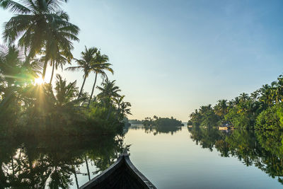 Scenic view of palm trees by lake against sky