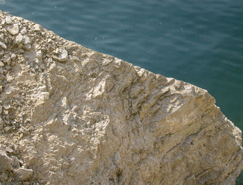 Close-up of sea shore