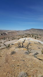 Scenic view of landscape against clear sky