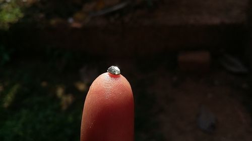 Close-up of small diamond on finger