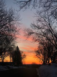 Silhouette trees on field against sky during sunset