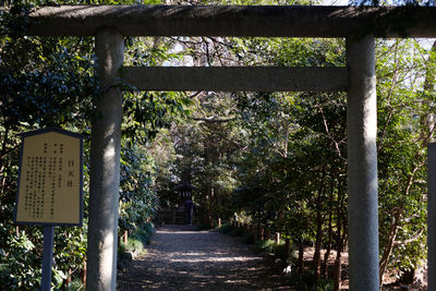 Trees growing outdoors