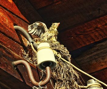 View of ceiling