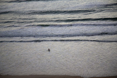 Birds on beach