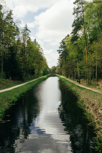 Canal amidst trees in forest against sky