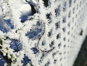 Close-up of snowflakes on snow