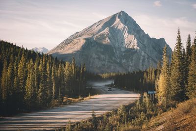 Road by trees leading towards mountain