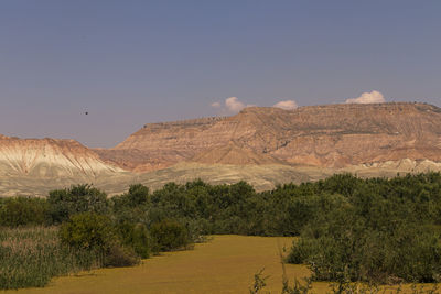 Scenic view of landscape against clear sky