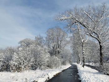 Snow covered road amidst trees against sky