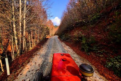 Road amidst trees during autumn