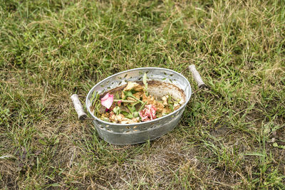 High angle view of plants in basket on field