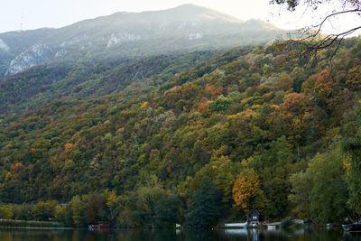 Scenic view of lake by trees during autumn