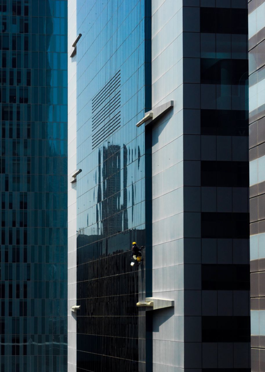 built structure, architecture, building exterior, building, city, glass - material, reflection, modern, window, office building exterior, no people, office, day, outdoors, low angle view, animal themes, nature, blue, animal, skyscraper, apartment