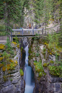 View of waterfall in forest