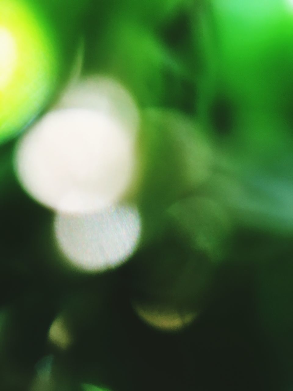 DEFOCUSED IMAGE OF GREEN LIGHT