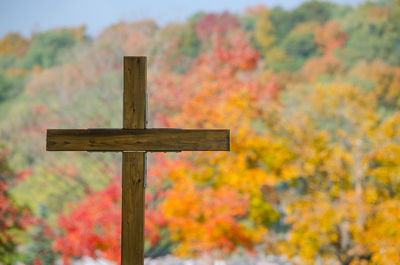 Low angle view of cross on trees during autumn