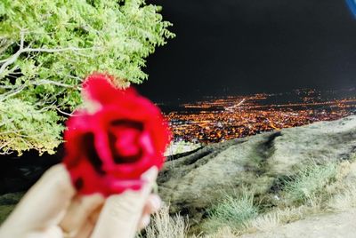 Person holding red flowers