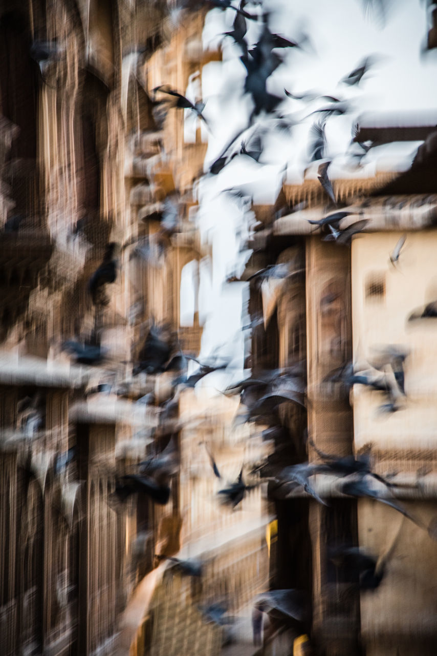 LOW ANGLE VIEW OF BUILDINGS IN CITY