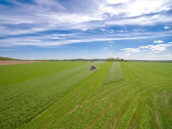 Scenic view of agricultural field against sky