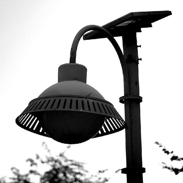 low angle view, clear sky, metal, pole, close-up, metallic, day, protection, no people, street light, lighting equipment, hanging, focus on foreground, safety, outdoors, sky, animal representation, bird, art, security