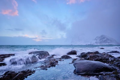 Coast of norwegian sea on rocky coast in fjord on sunset