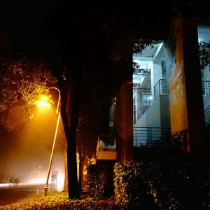 Illuminated street light at night