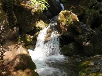 Stream flowing through rocks in forest