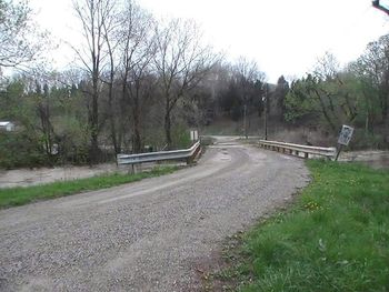 Empty road along trees