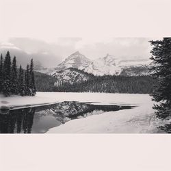 Snow covered landscape