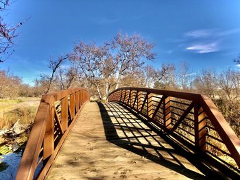 Empty footbridge along trees