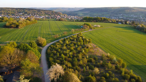 High angle view of agricultural field