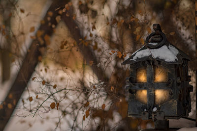 Metal hut as street lighter on nature background