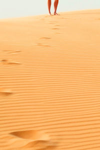 Low section of woman standing on sand at beach