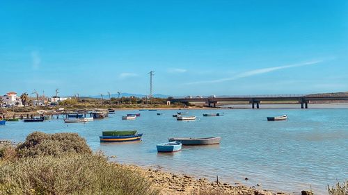 Boats in sea against blue sky