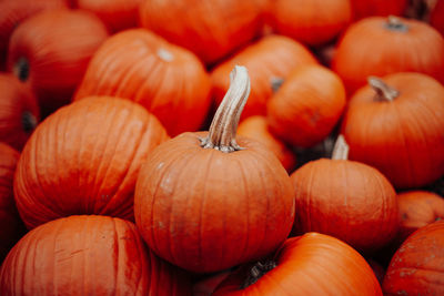 Full frame shot of pumpkins for sale at market