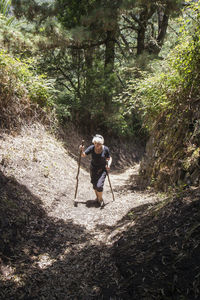 Senior woman hiking through forest at garajonay national park, la gomera, canary islands, spain