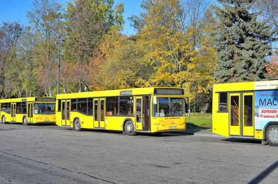 Yellow bus on road against trees in city