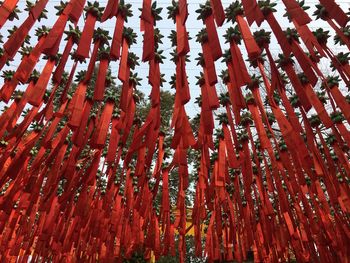 Full frame shot of cross