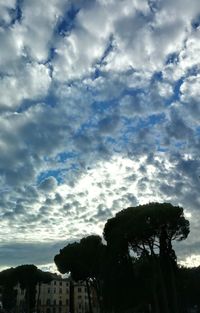 Low angle view of silhouette trees against sky