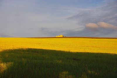 Scenic view of field against yellow sky