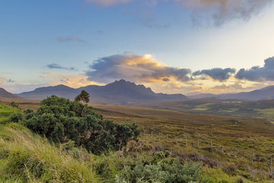 Scenic view of landscape against sky during sunset